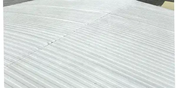 Image 2: oskar roof