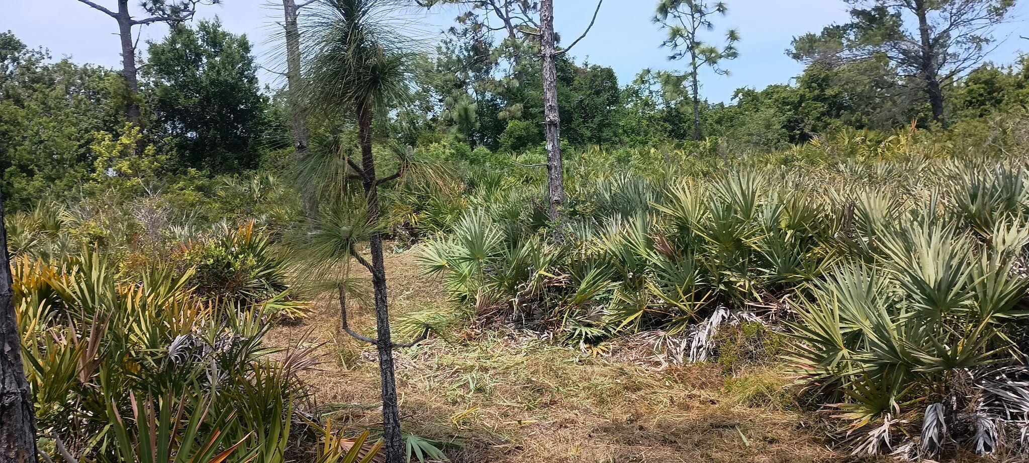 Image 4: 1682148827924210644