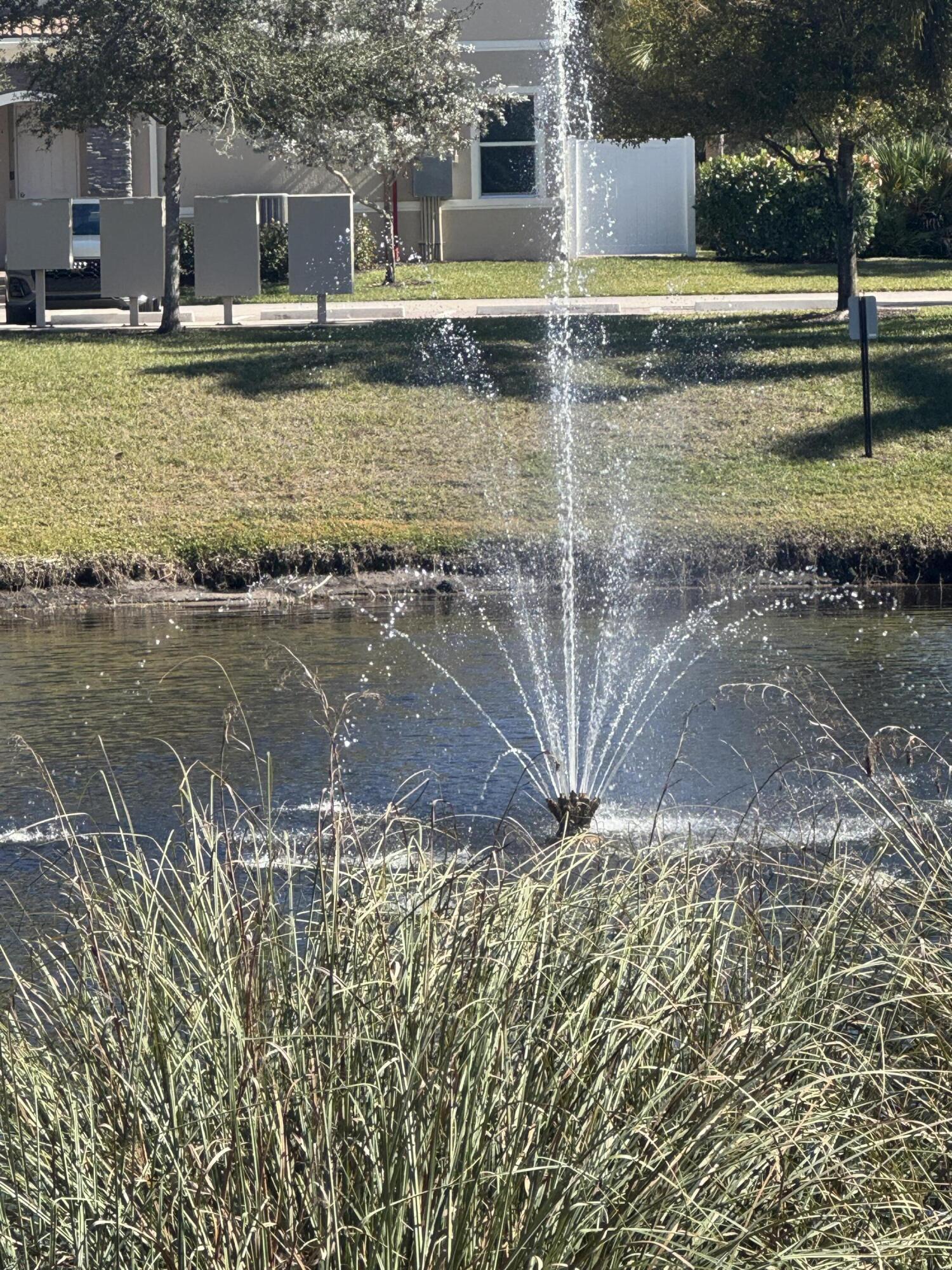 Image 3: IMG_2262