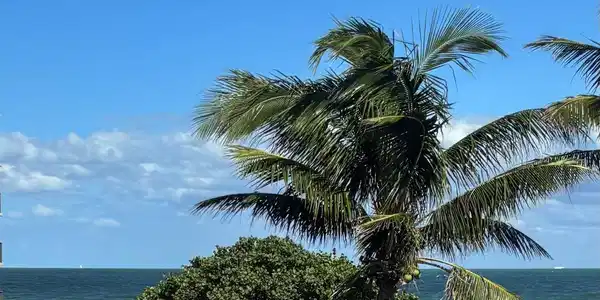 126 Ocean Bay Drive