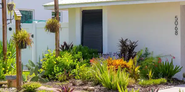 Image 3: Garden in front of home