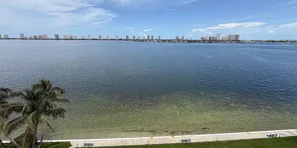 Image 3: Actual view