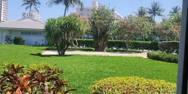 Image 3: club area view