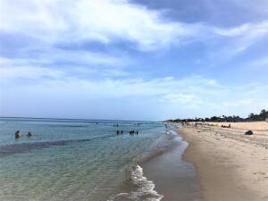 Image 3: STEPS TO THE BEACH