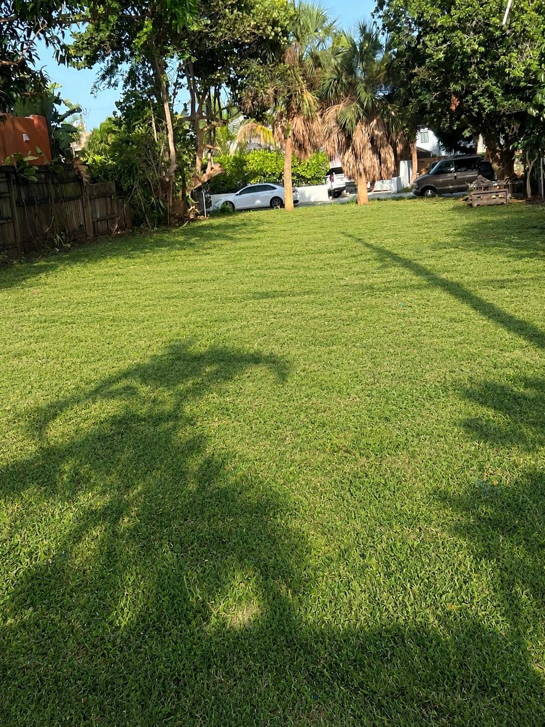 Image 2: 15030CDA-2B19-4469-8281-869D64DEEB75
