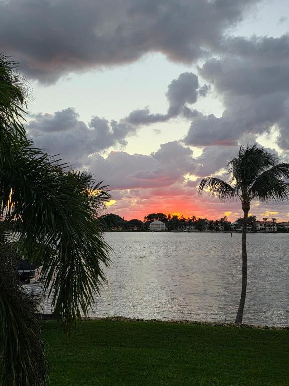 Image 1: 3643190140768208949