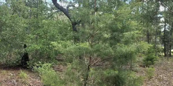 Image 3: Screenshot_20260514_152600