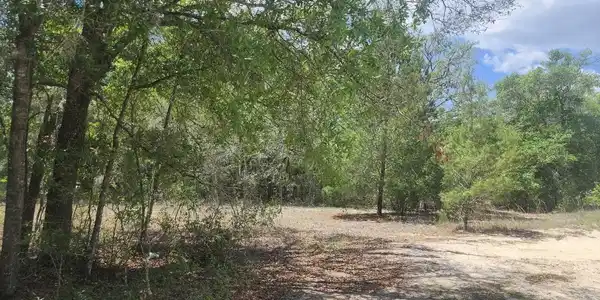 Image 4: Screenshot_20260514_152542