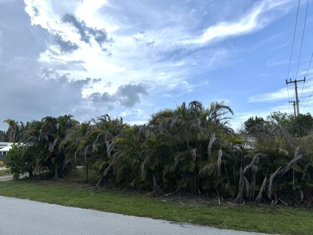 Image 3: Private Corner Lot Yard