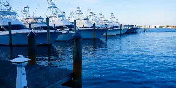Image 2: HAVN_Marina_DSC02090