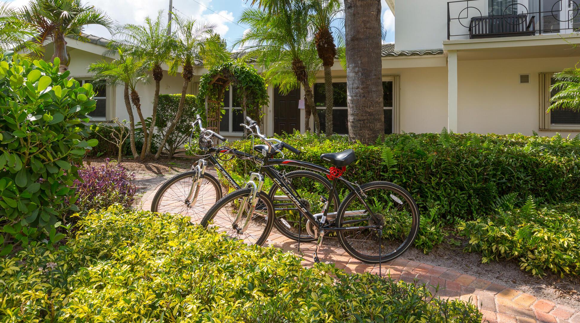 Image 4: 03_Bikes