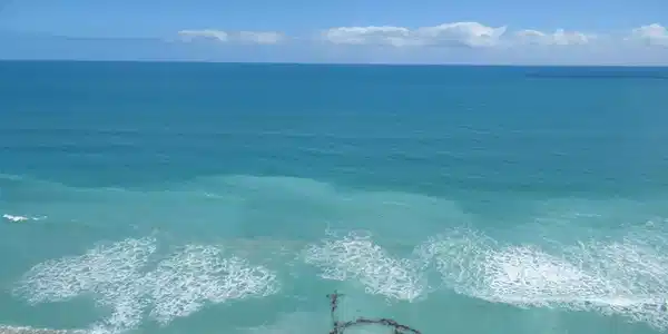 9650 S Ocean Drive