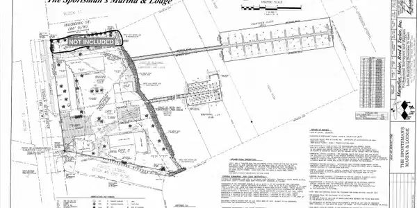 Image 2: SURVEY