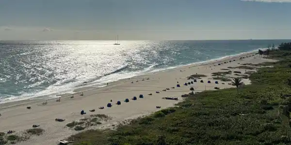 800 ocean