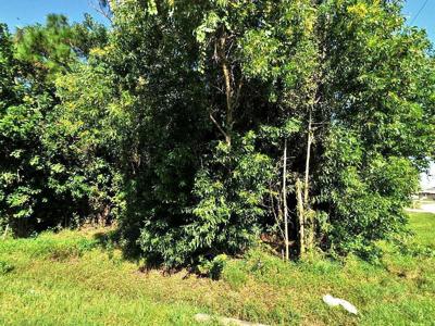 3219 SE Snow Road