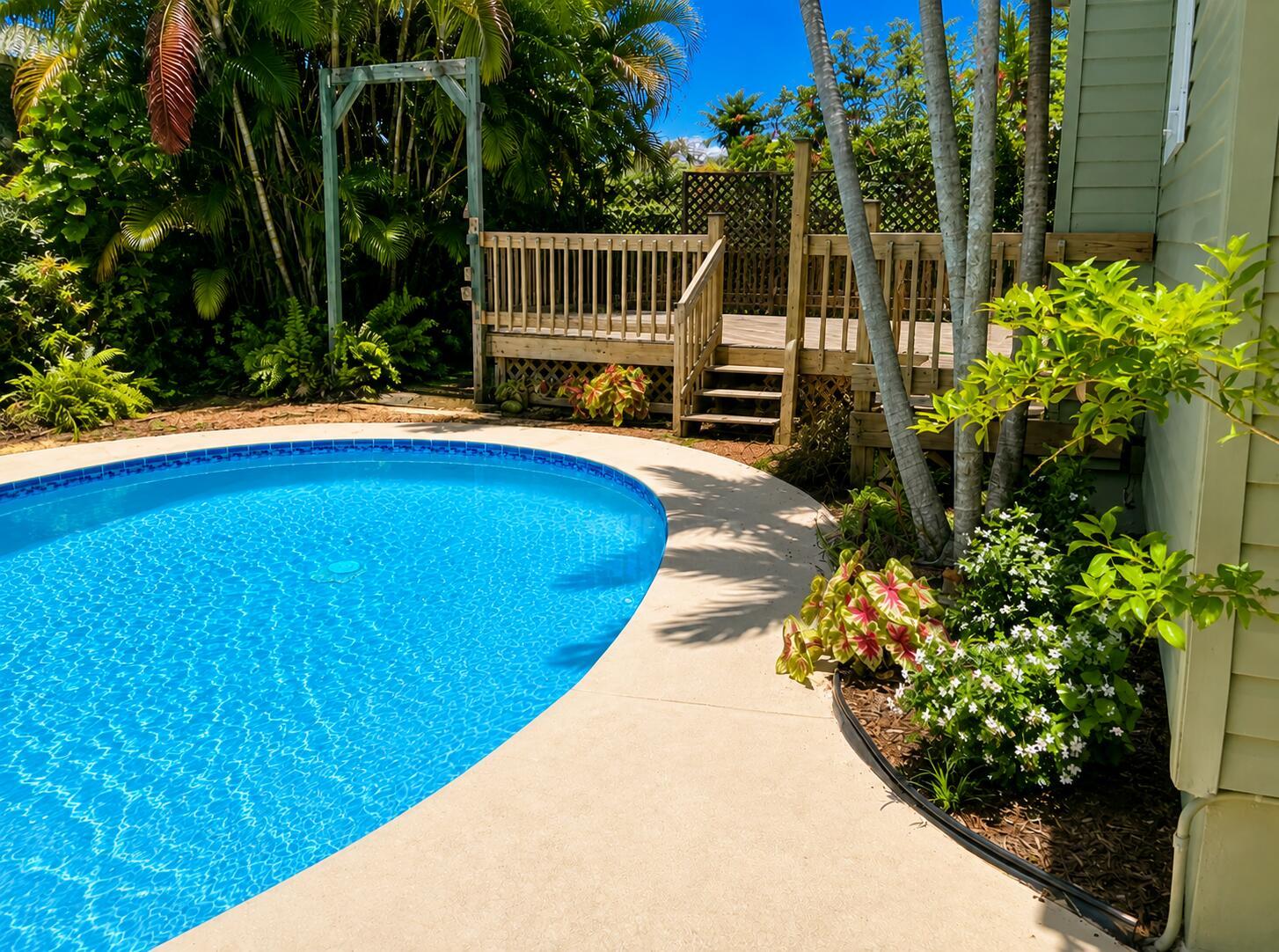 Image 4: tropical oasis