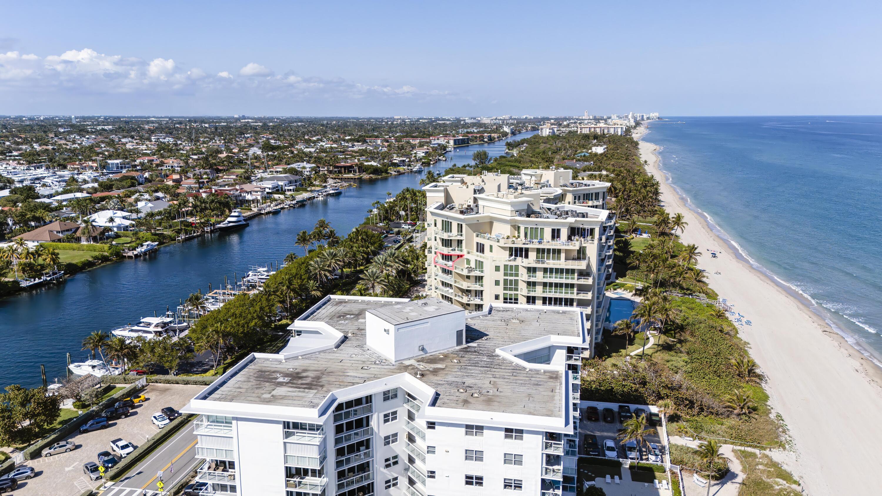 Image 4: DJI_20250204140500_0011_D-Enhanced-NR-Ed