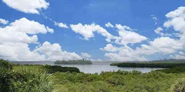 Image 3: Lush green landscape with varied foliage and calm