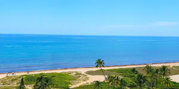 2000 S Ocean Boulevard