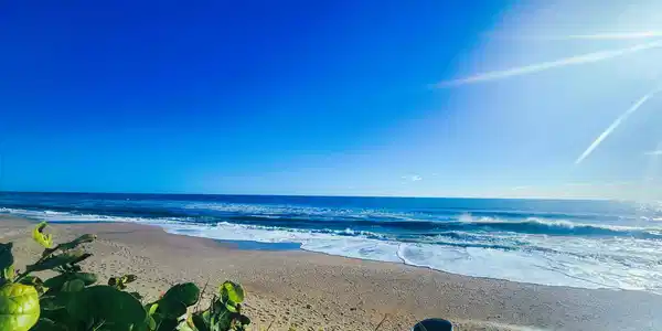 Image 2: Expansive beach frontage with ocean waves breaking