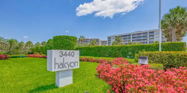 Image 3: The Halcyon