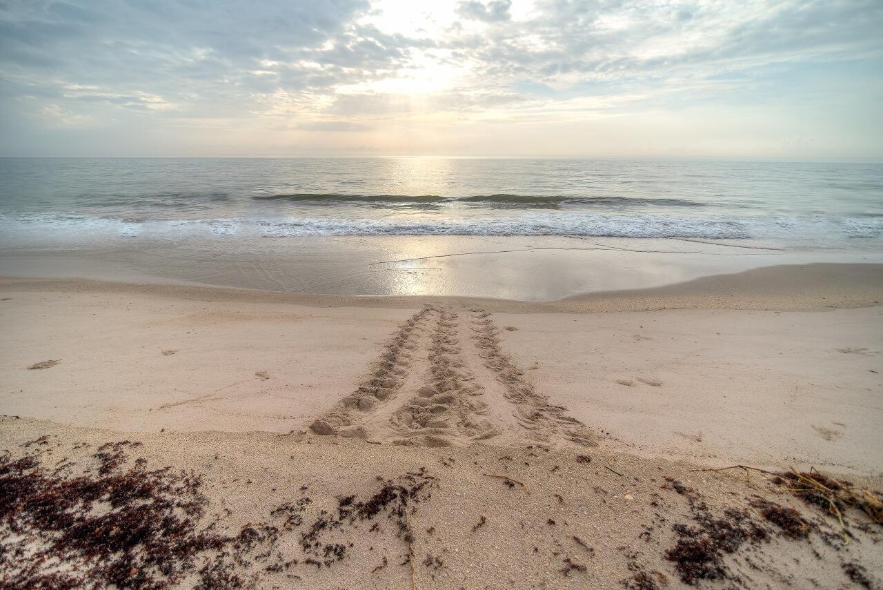 Image 3: Just a few short minutes to South Beach Park from