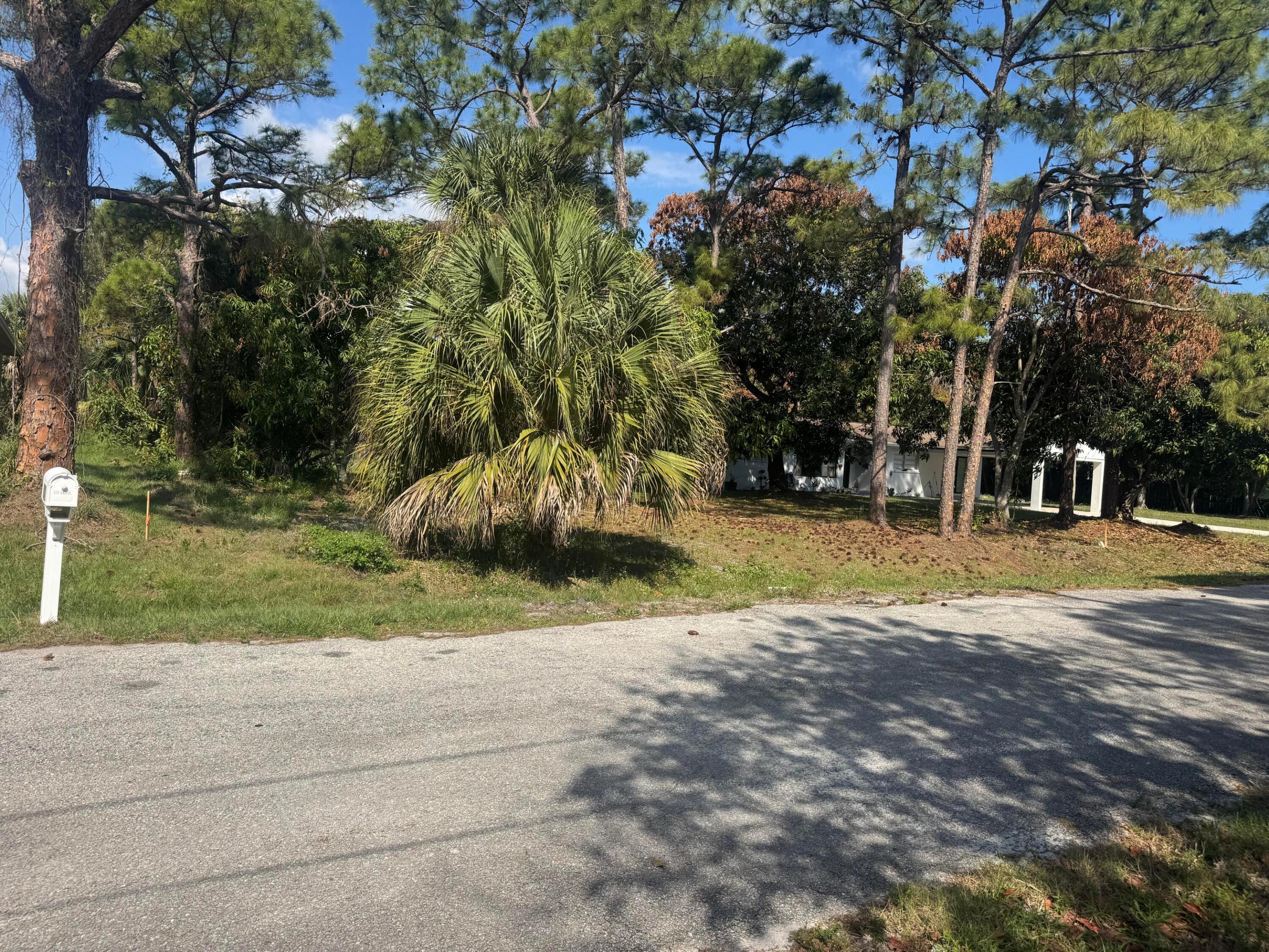 Image 3: IMG_4975