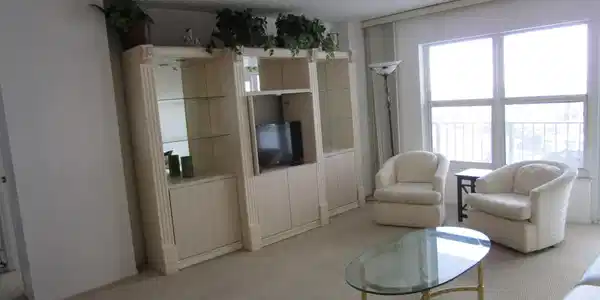 Image 3: Entertenment center