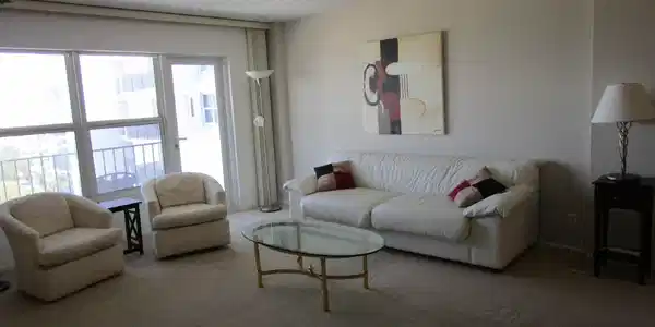 Image 4: Queen Sofa bed