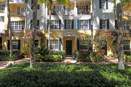 332 N Bromeliad