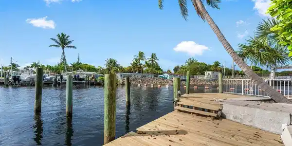 Image 4: dock