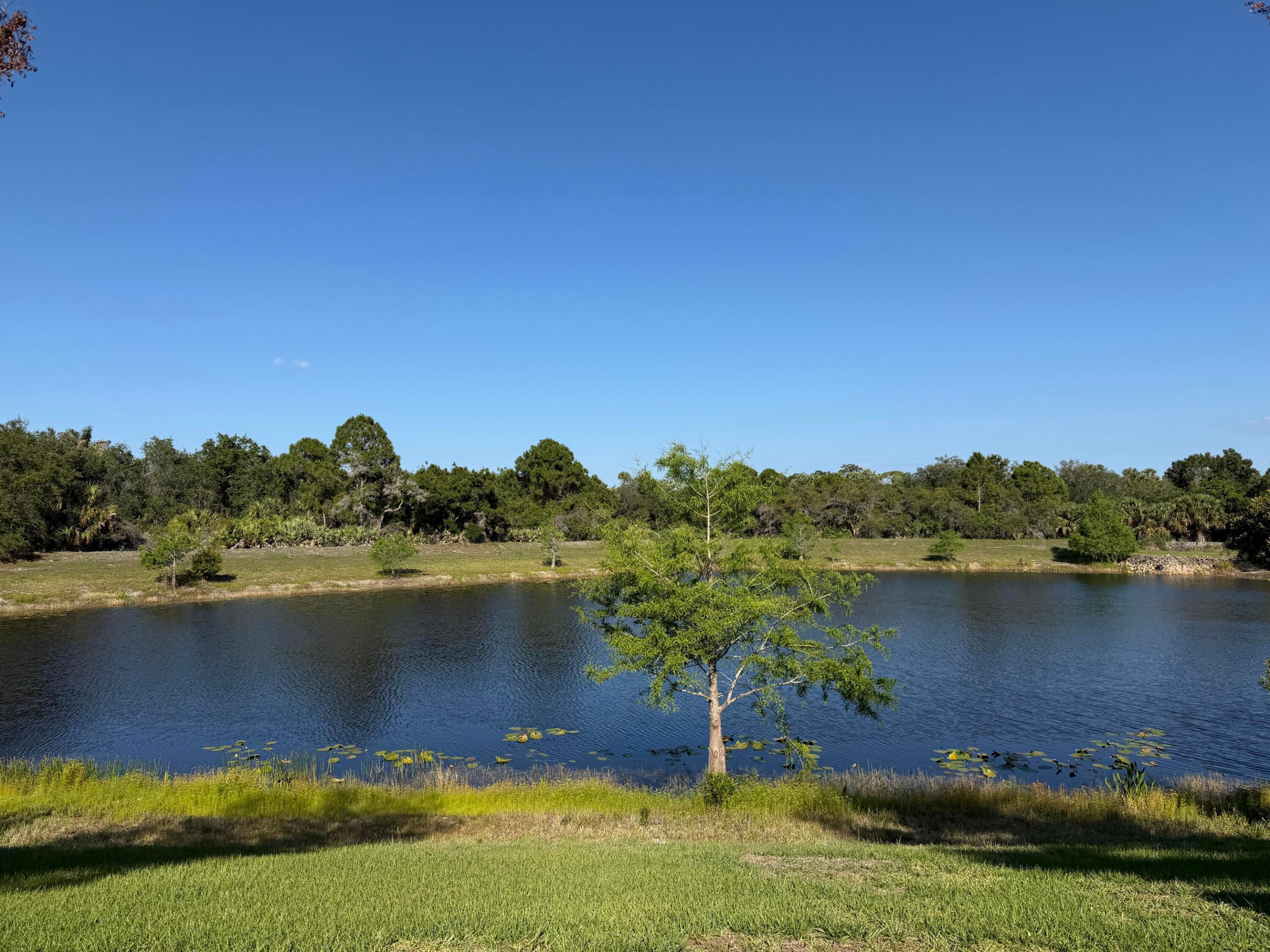 Image 3: Lake behind house