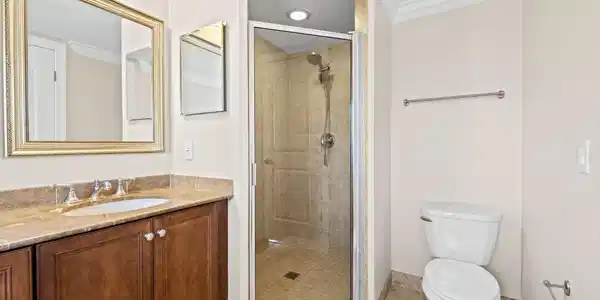 Image 4: Primary Bath