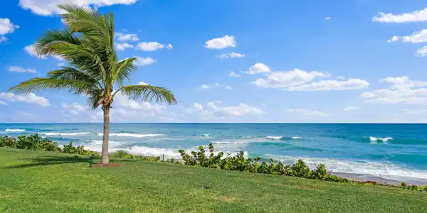 11080 Turtle Beach Road