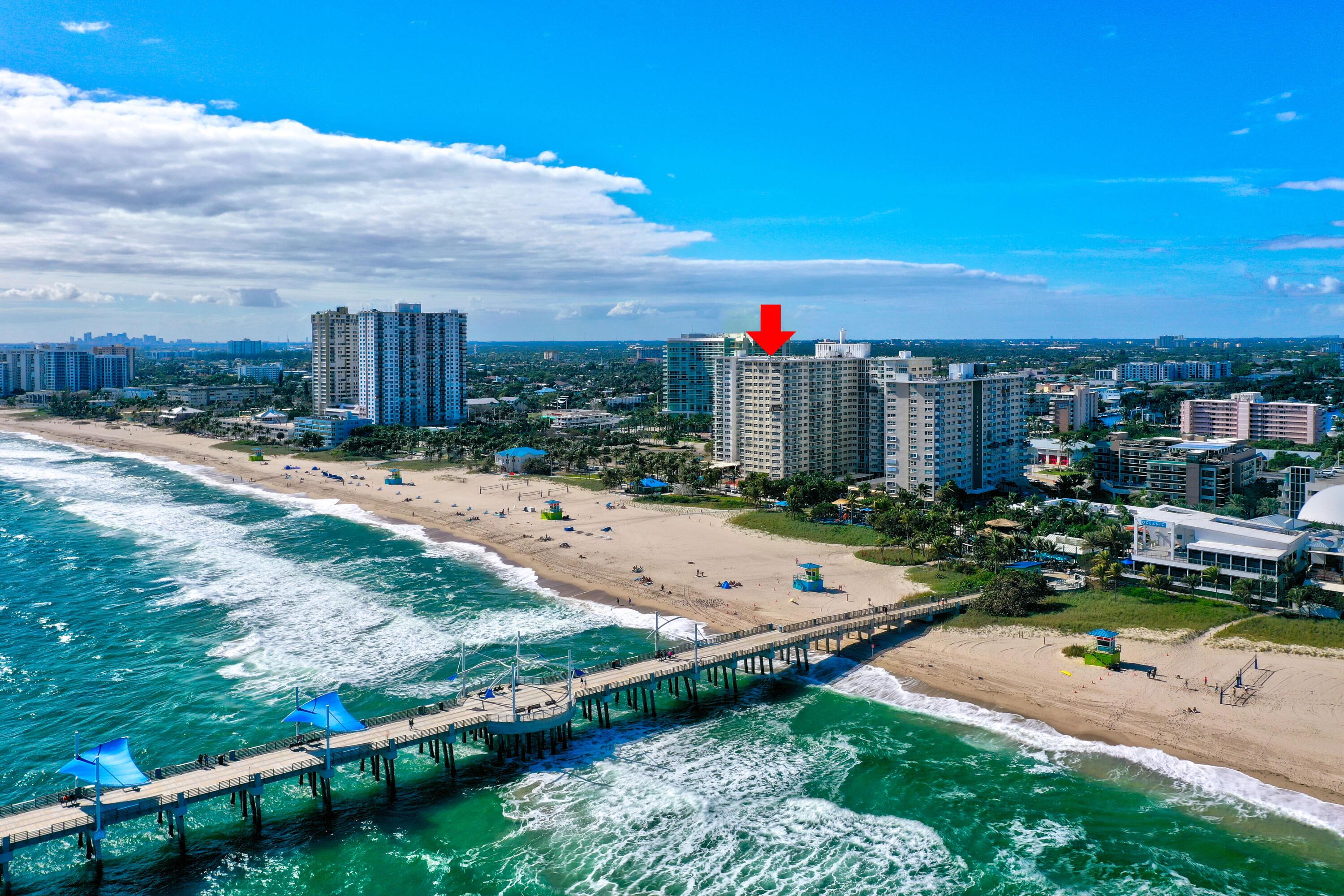 Image 3: Sea Monarch On The Beach, at Fishing Pier