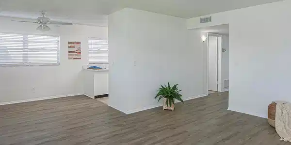 64 Woodland Drive