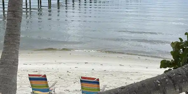 Image 4: View on the beach (over 100 feet of beachfront)