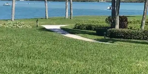 300 Intracoastal Place