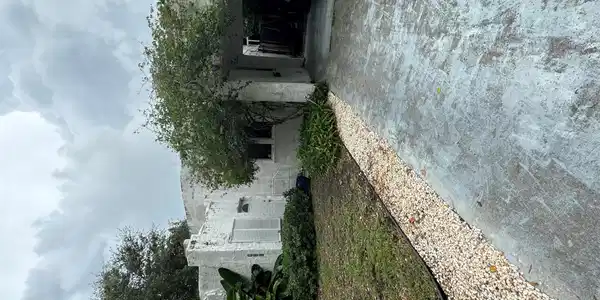 317 Fordham Drive