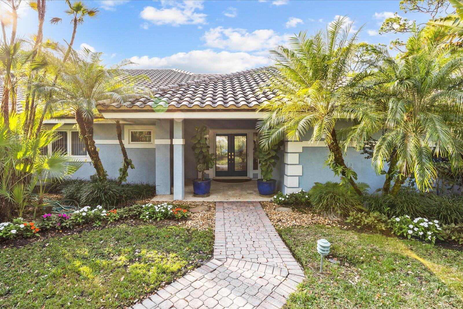 Image 3: 02-coco in-54