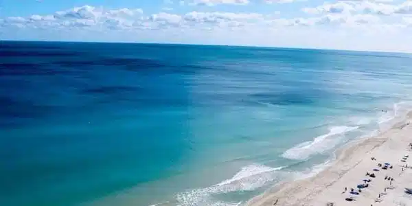 3900 Galt Ocean Dr