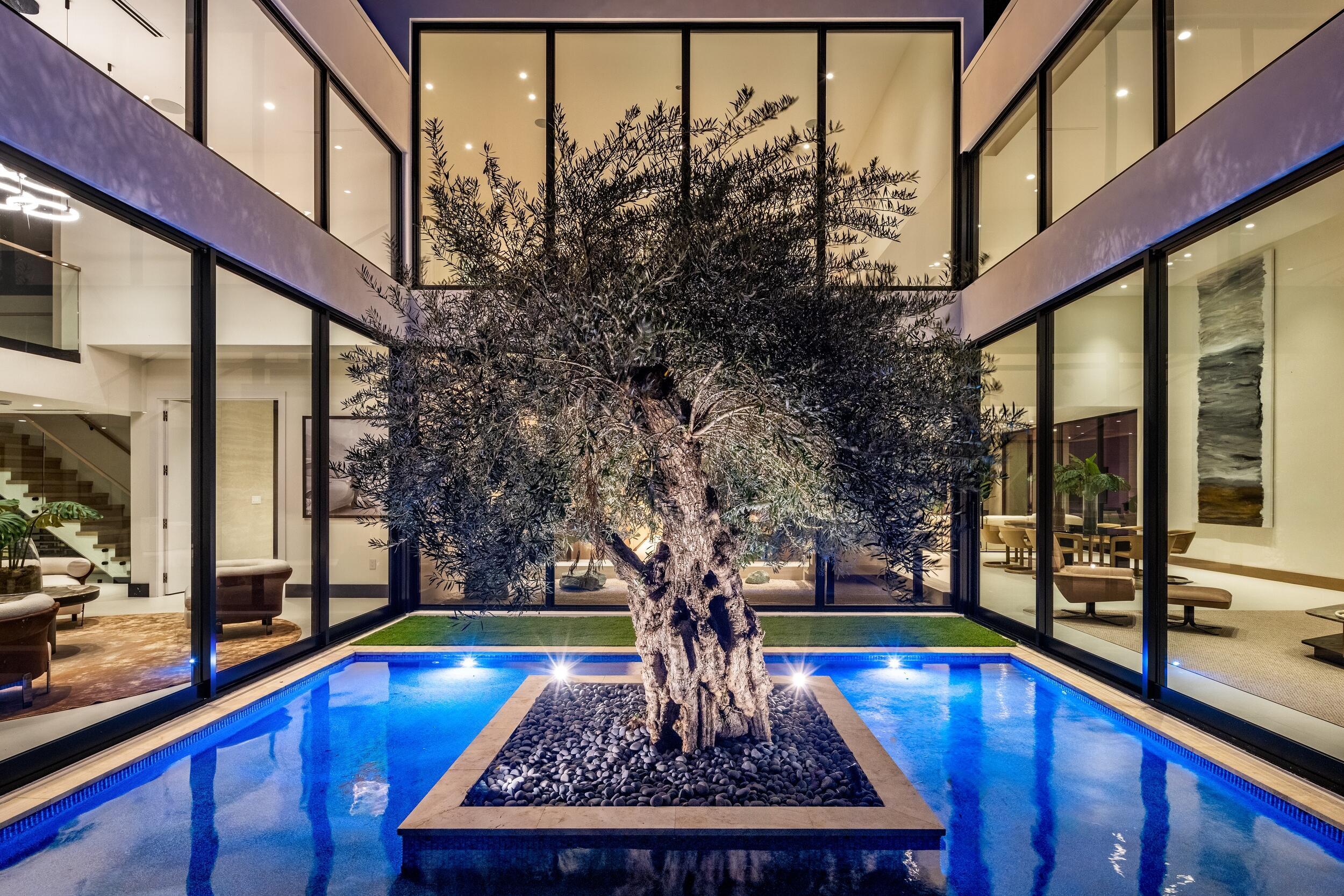 Image 4: OLIVE TREE COURTYARD