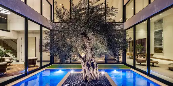 Image 4: OLIVE TREE COURTYARD