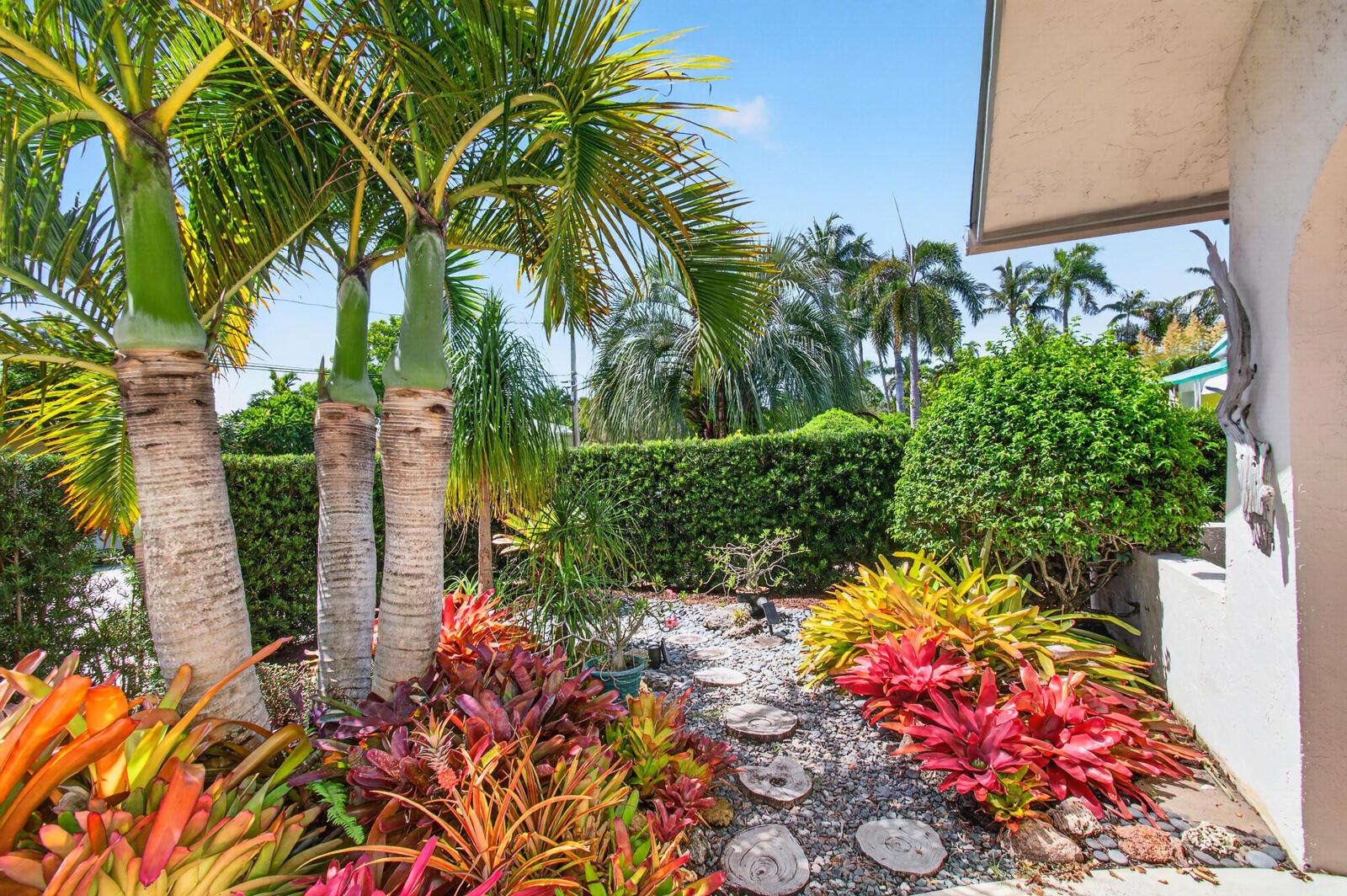Image 4: Tropical Landscape