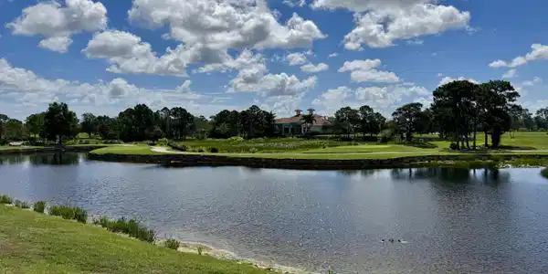 Image 4: View from rear of site looking southeast