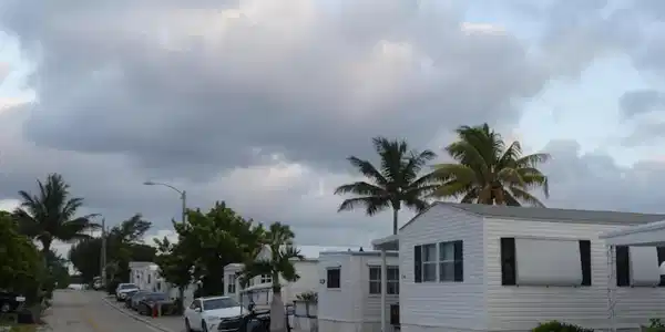 21 Bamboo Drive
