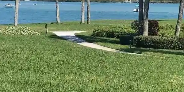 300 Intracoastal Place