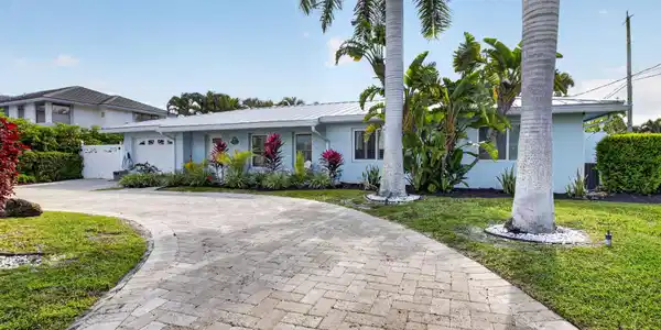 Image 3: Large Driveway, gorgeous palm trees