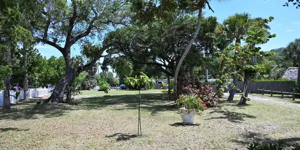 Image 3: A1A Land