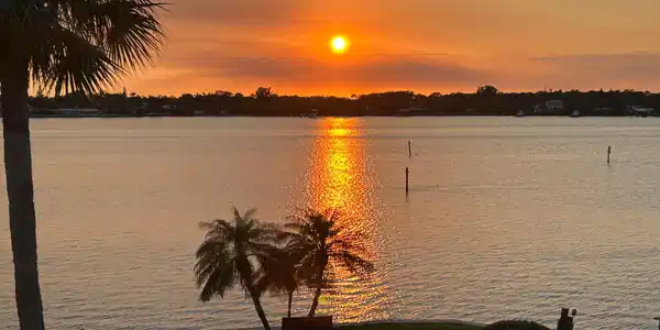 1950 SW Palm City Road
